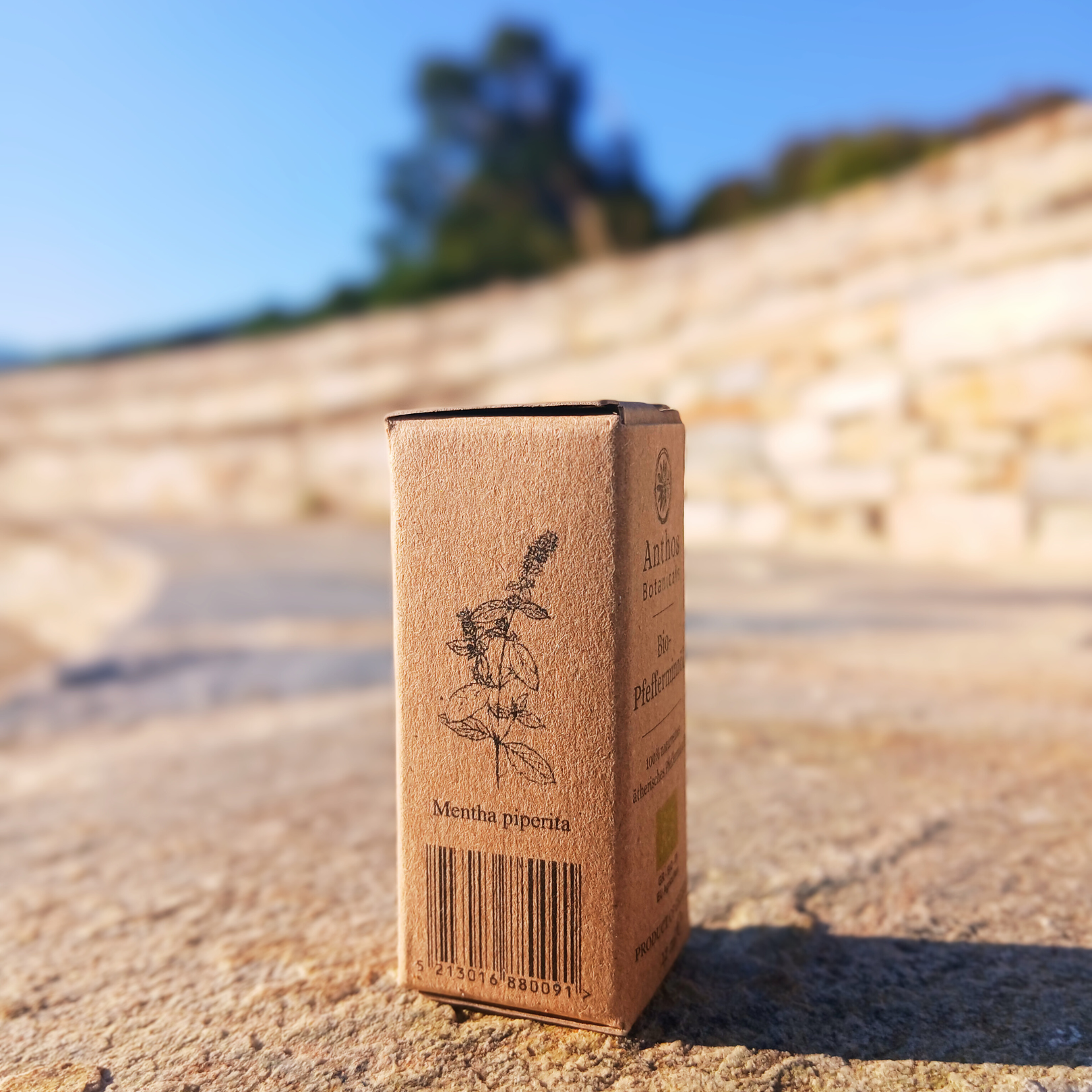 Pfefferminzöl BIO 12ml - Lebensmittelzertifiziert-4